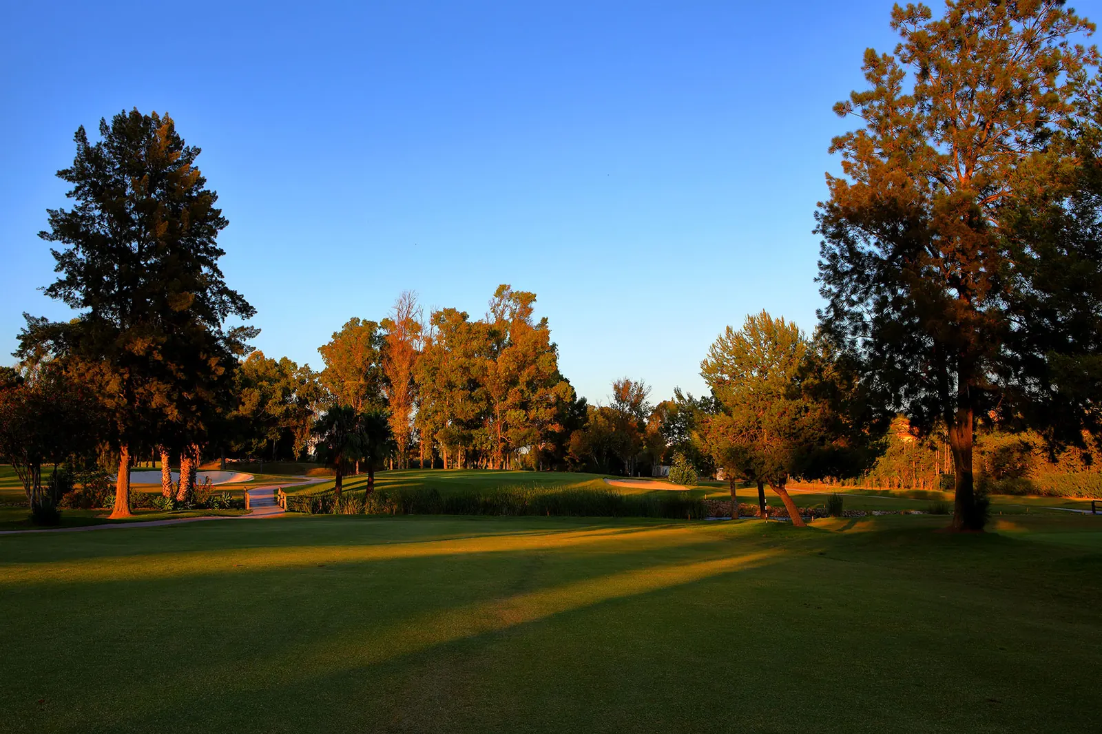 Study in Spain programme at PG Golf & Sports Academy Greenlife Golf Elviria